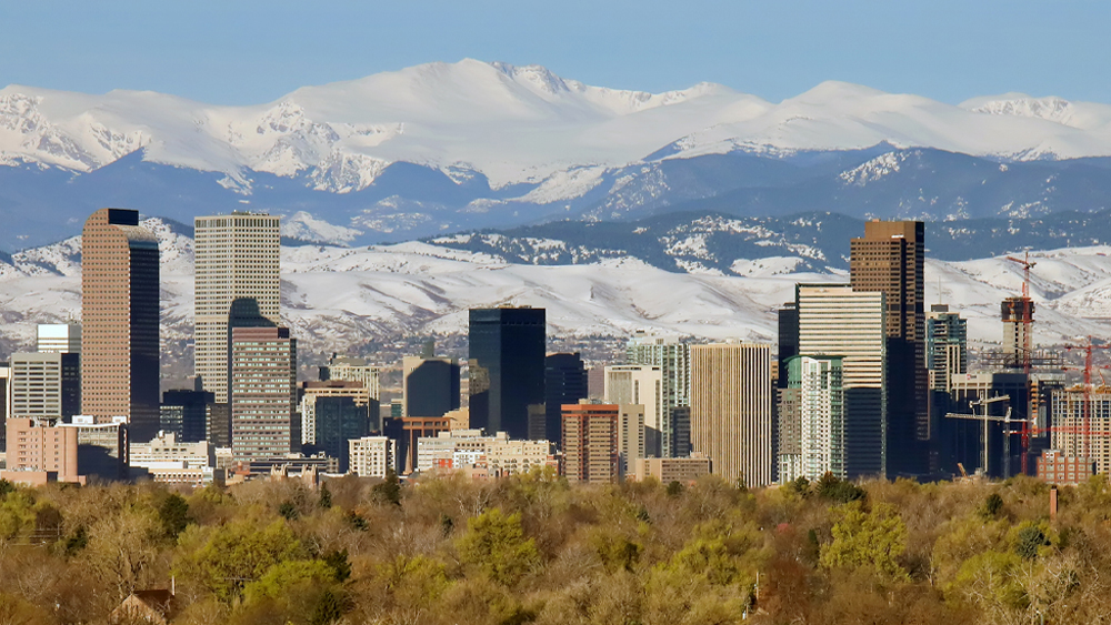 Scaffold in Action: Local Dev Insights